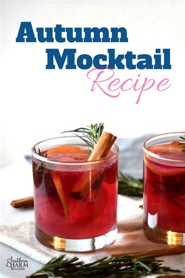 Warm autumn mocktail recipe using apples and cranberries by www.southerncharmwreaths.com/blog