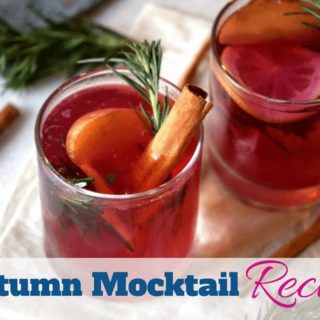 Super simple warm fall mocktail using applies and cranberries by www.southerncharmwreaths.com/blog