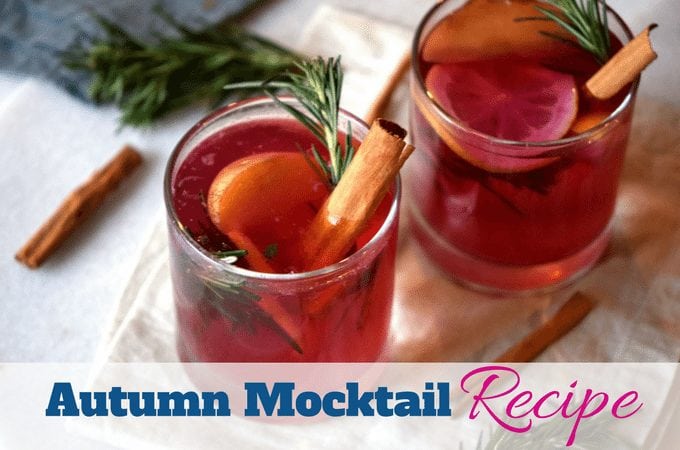 Super simple warm fall mocktail using applies and cranberries by www.southerncharmwreaths.com/blog