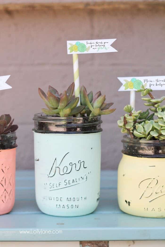 17 DIY Mother's Day gift ideas she'll actually use! - Lolly Jane