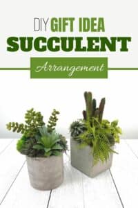 Succulent Arrangements For Gift-Giving - Southern Charm Wreaths