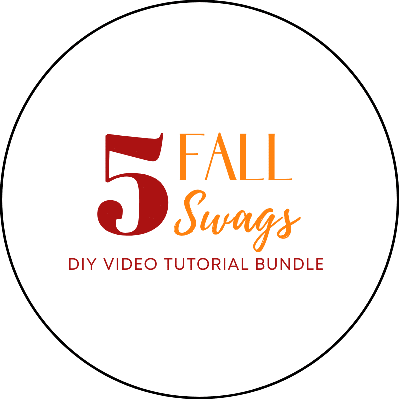 5FallSwags_AccessAlly_Access