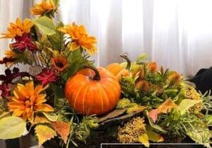 EBDC - Asymmetrical Fall Arrangement